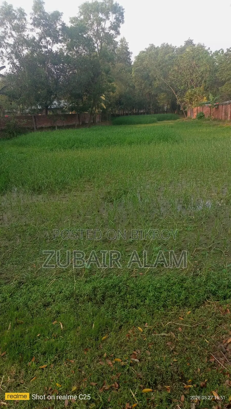 বিক্রয় হবে: ময়মনসিংহের লবণকোঠায় ৭ বিঘা উঁচু জমি