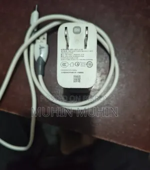 Mi 33W Fast Charger