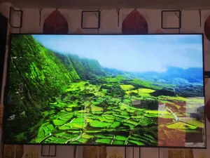 Samsung 55" Voice Control TV (Replacement Guarantee)