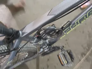 Phoenix Duster a Bicycle