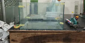 Fish Tank/ Aquarium