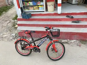 ভালো একটি ছাইকেল