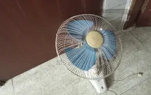 Wall Fan With Case