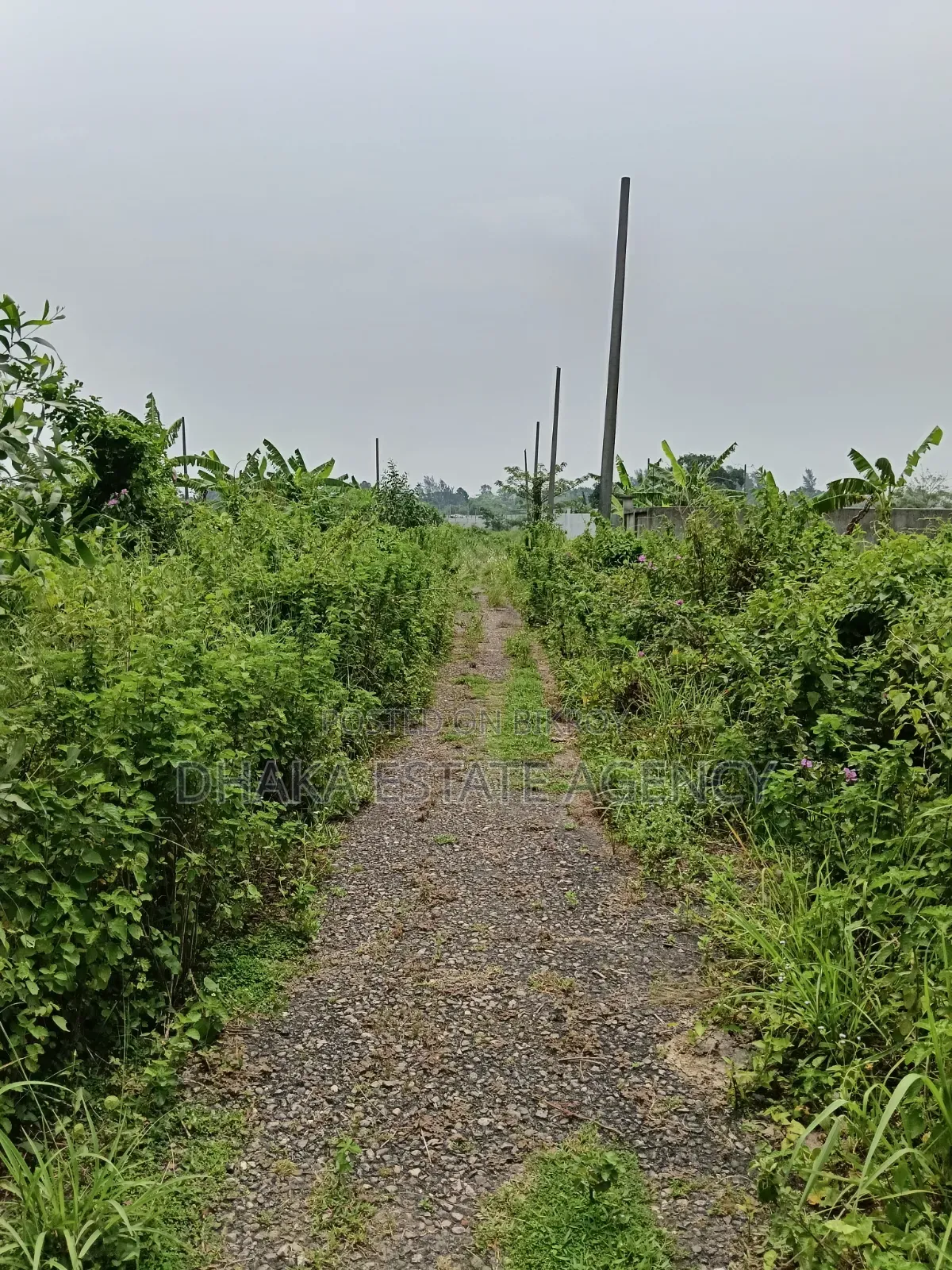 Sector-25, East Facing 7.50 Katha