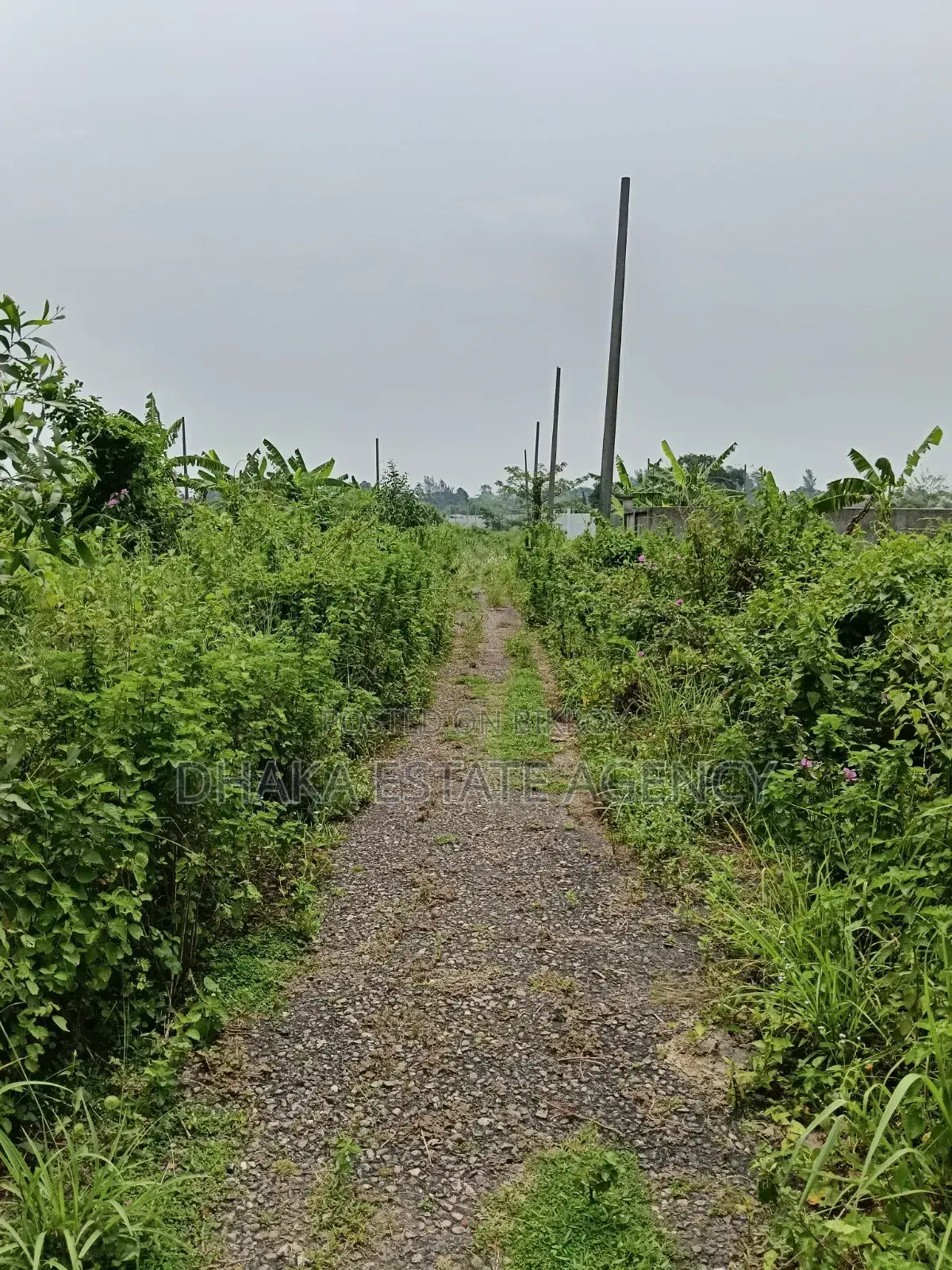 সেক্টর-২৫, পূর্বমুখী ৭.৫০ কাঠা