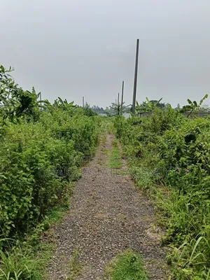 Sector-25, East Facing 7.50 Katha
