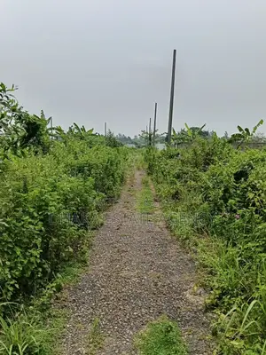 সেক্টর-২৫, পূর্বমুখী ৭.৫০ কাঠা