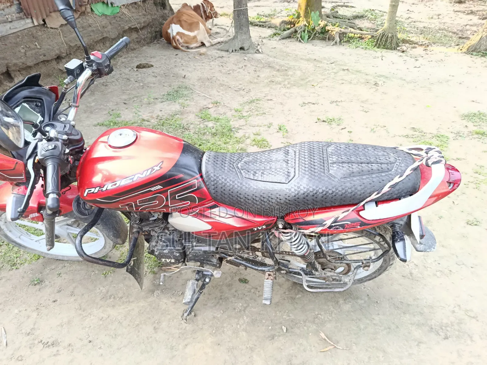 TVS Apache RTR 160 4V 2017 Red