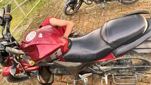 Suzuki Gixxer Monotone 2019 Purple