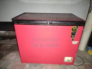 ভিশন ডিপ ফ্রিজার (২৫০ লিটার)