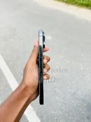 Apple iPhone 13 Pro Max 256 GB Gray
