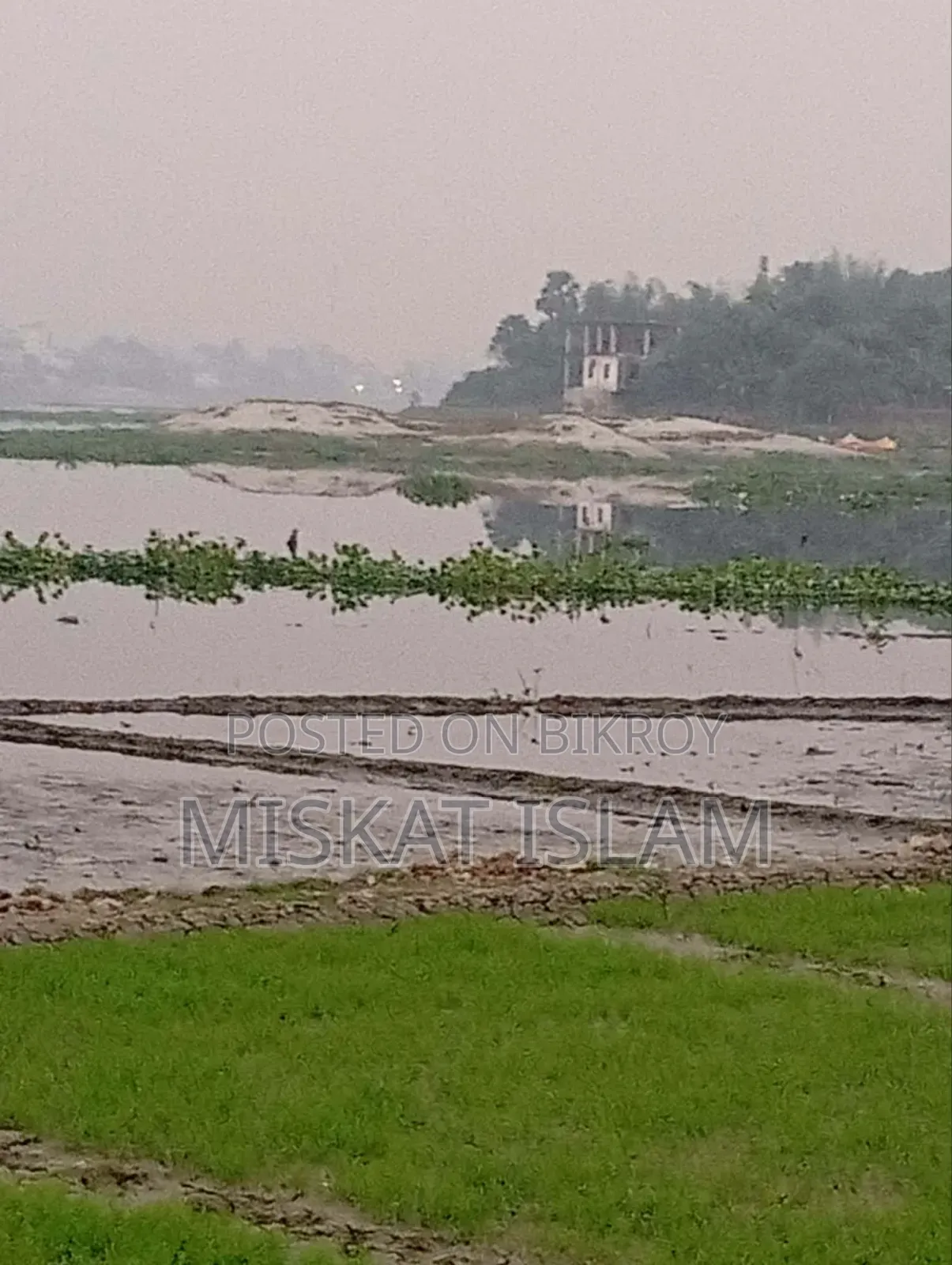 Low-lying land for sale at a low price
