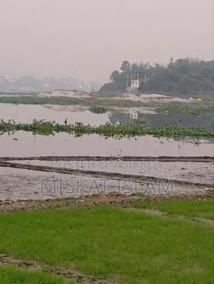 Low-lying land for sale at a low price