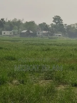 Low-lying land for sale at a low price