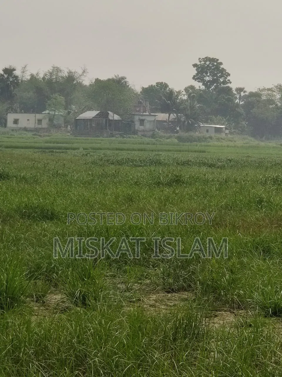 Low-lying land for sale at a low price