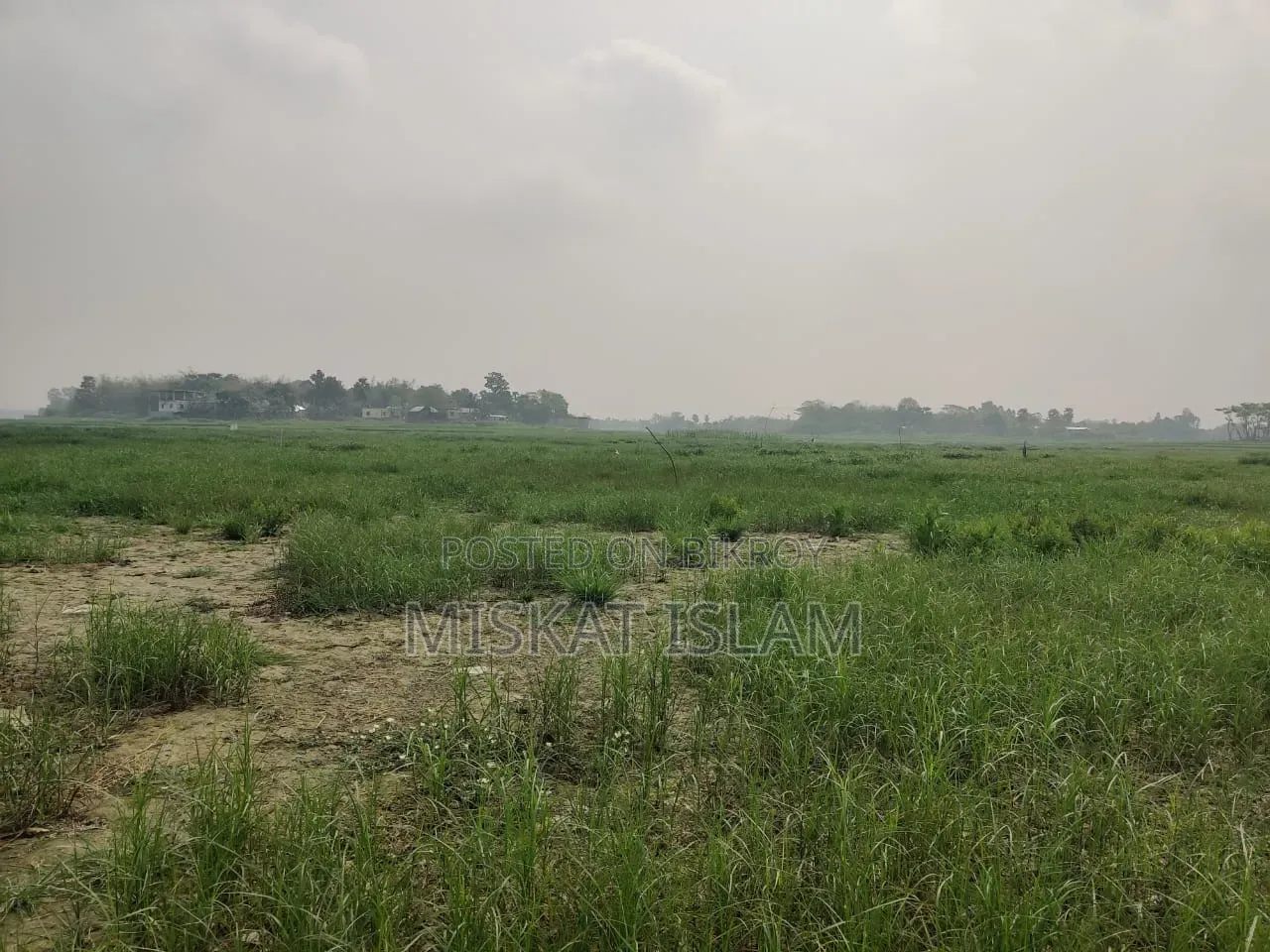 Low-lying land for sale at a low price