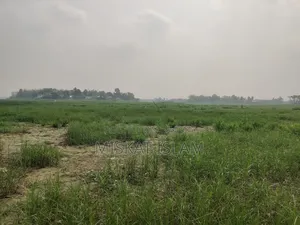 Low-lying land for sale at a low price