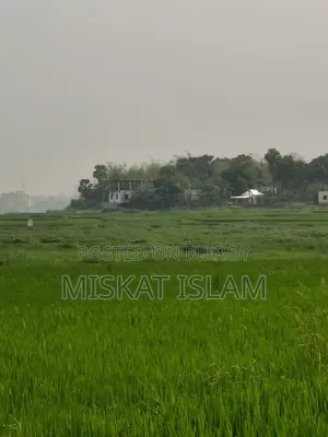 Low-lying land for sale at a low price