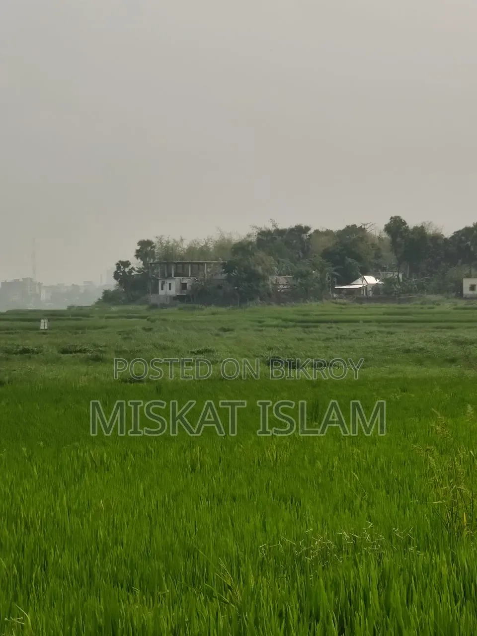Low-lying land for sale at a low price