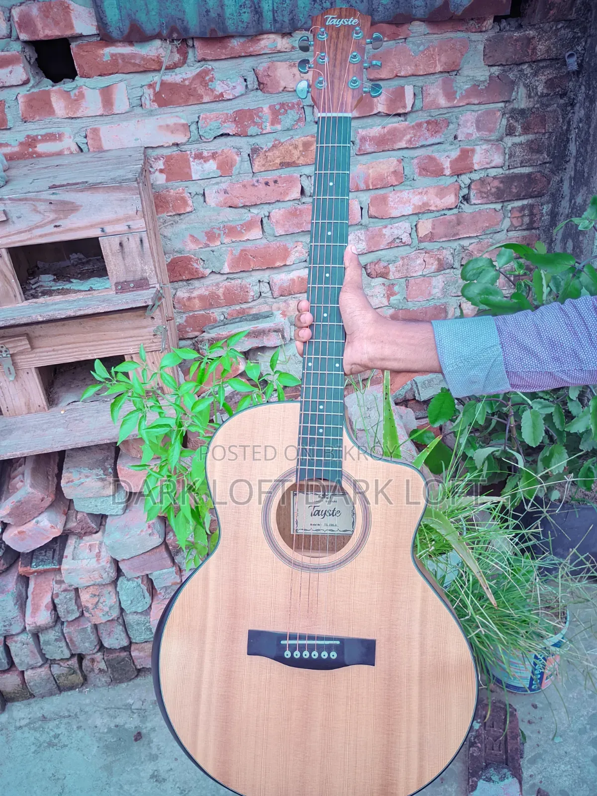 Tayste J34a Guitar