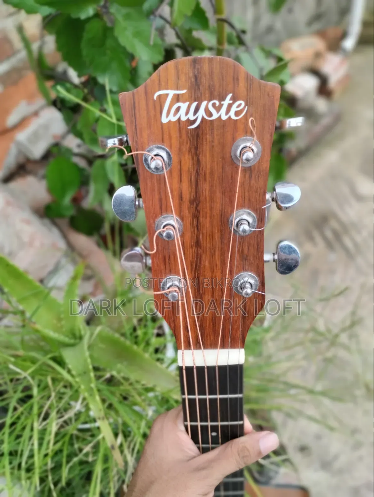 Tayste J34a Guitar