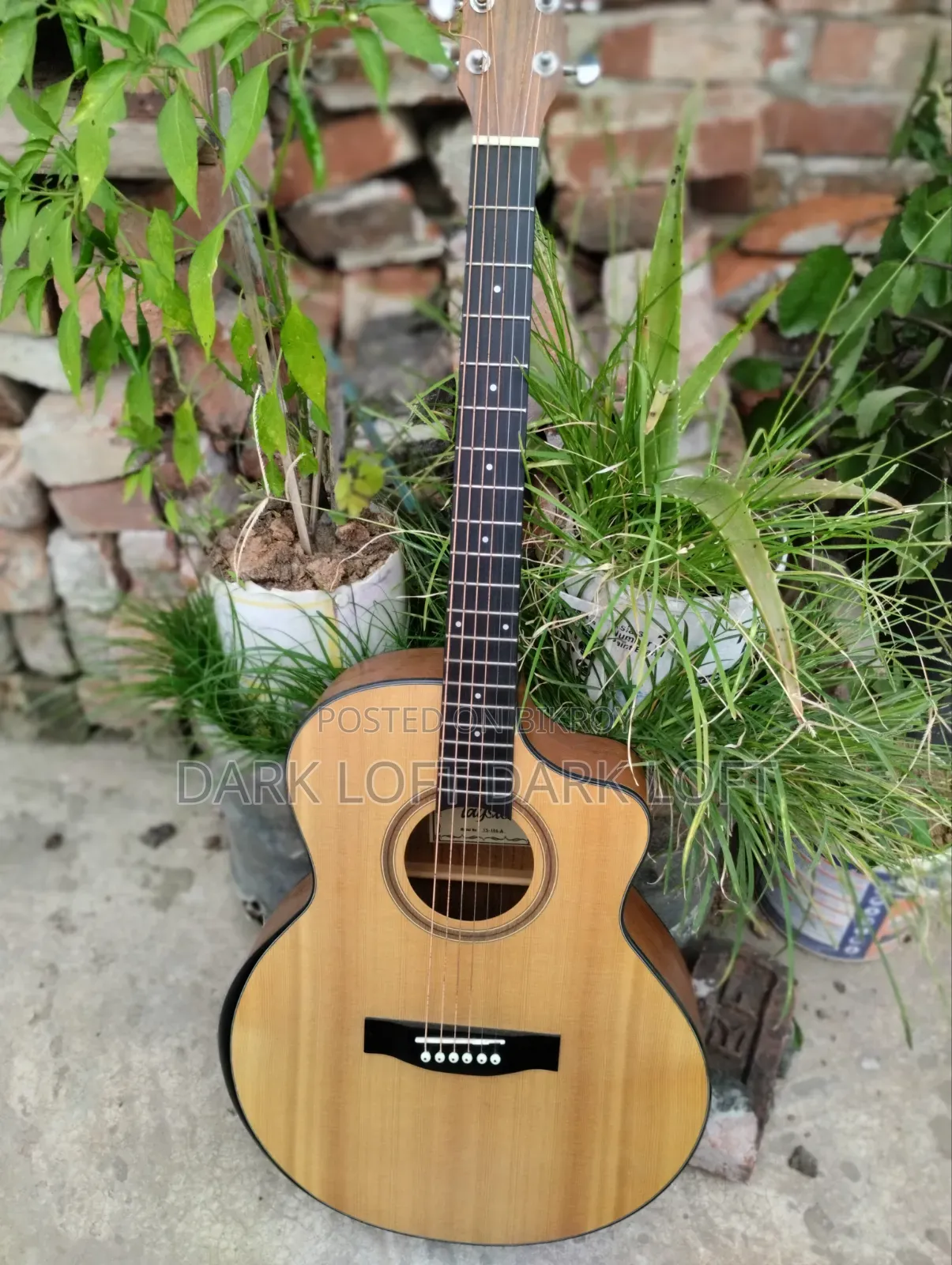 Tayste J34a Guitar