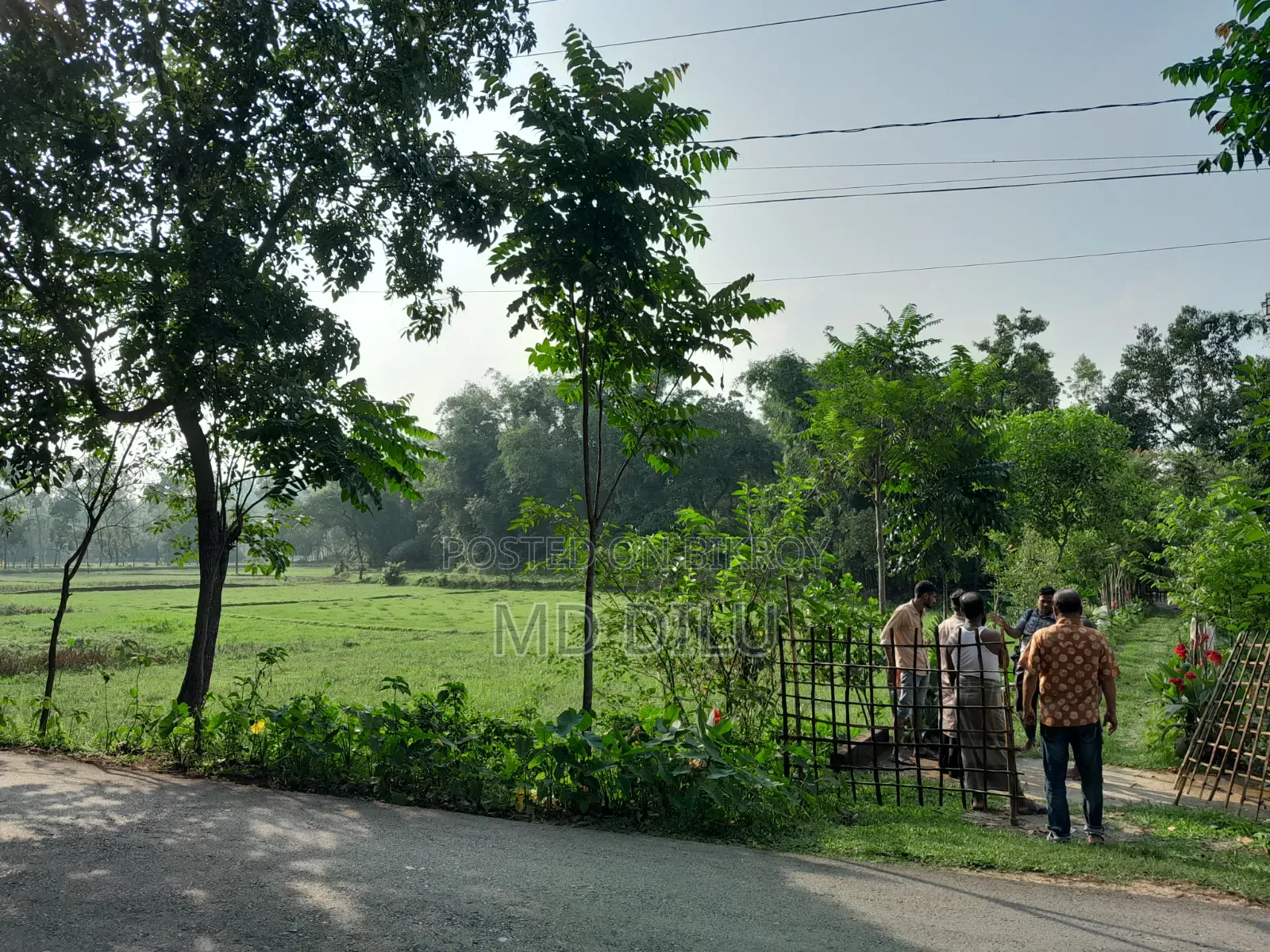 জমি বিক্রির জন্য