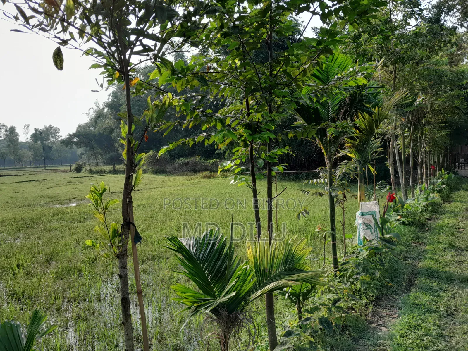 জমি বিক্রির জন্য