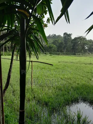 জমি বিক্রির জন্য