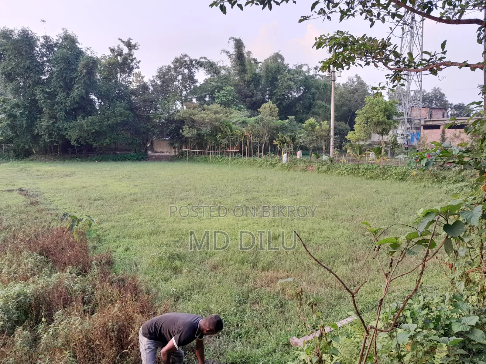 জমি বিক্রির জন্য