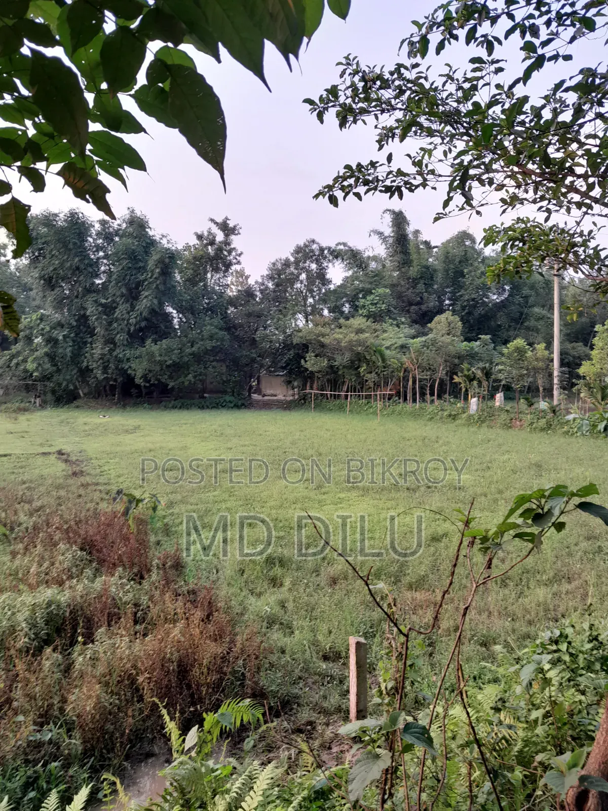 জমি বিক্রির জন্য