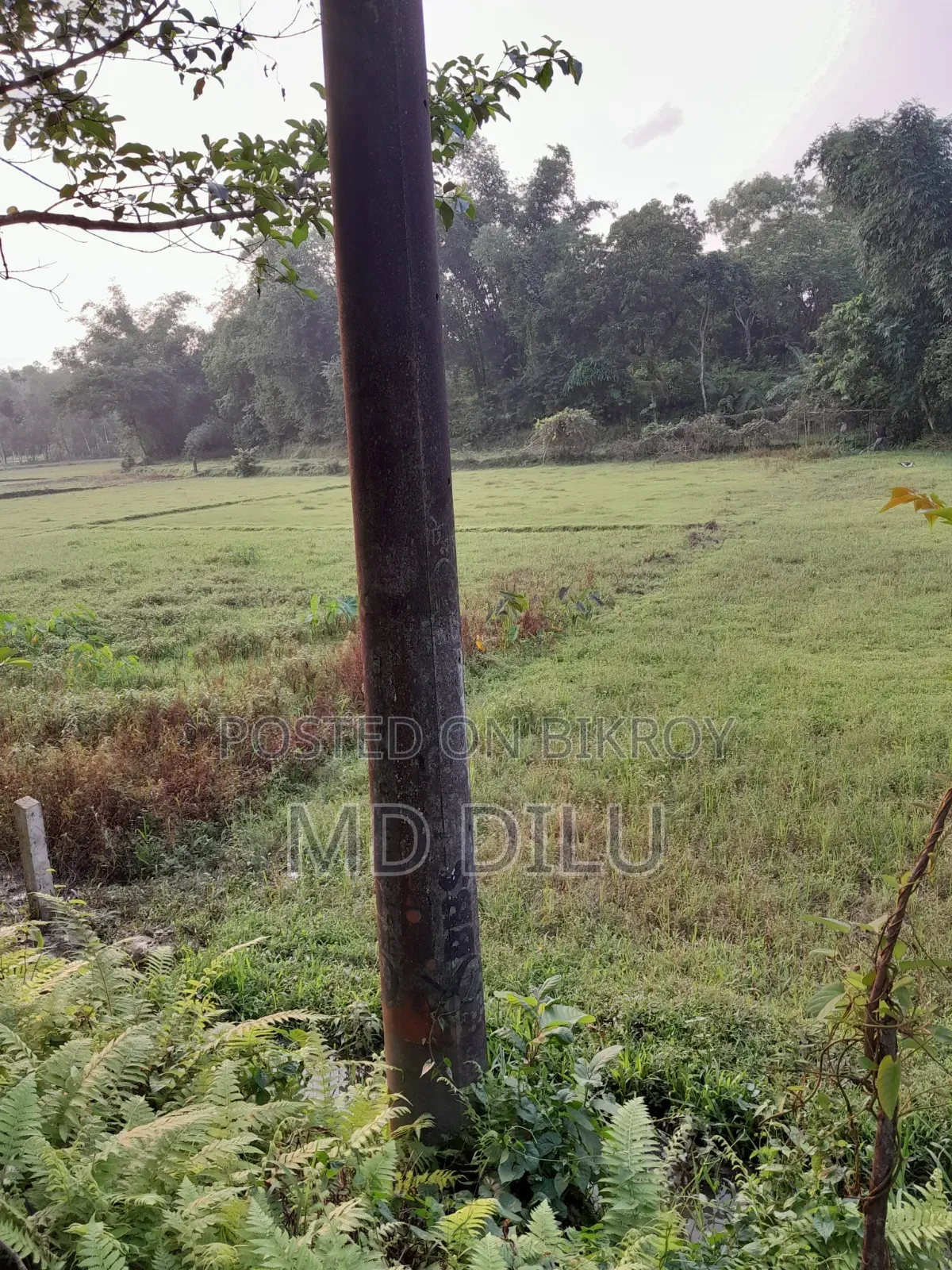জমি বিক্রির জন্য