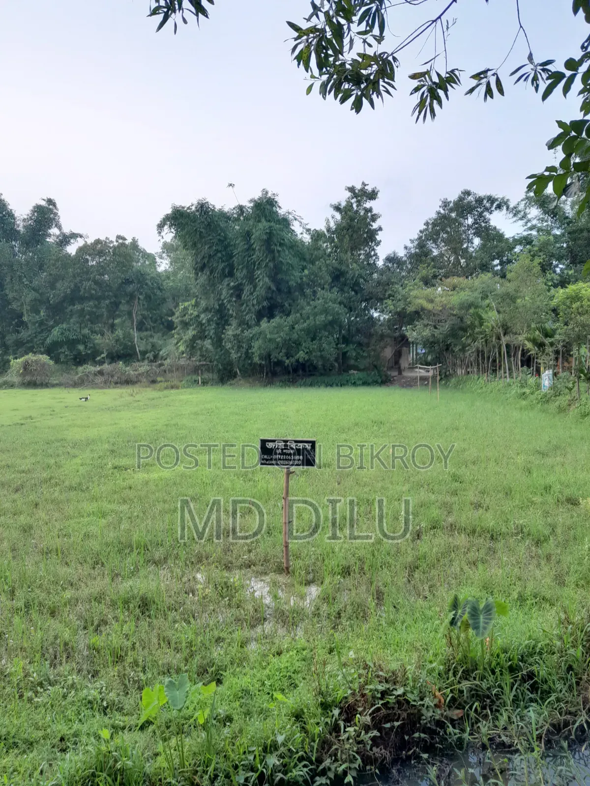 জমি বিক্রির জন্য