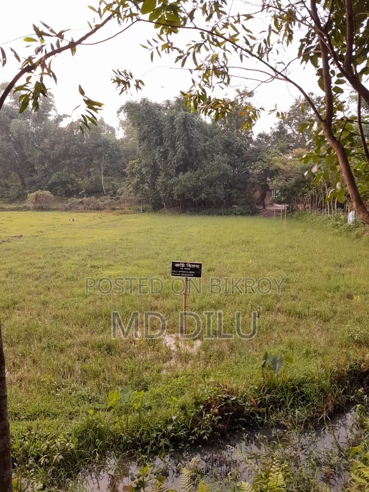 জমি বিক্রির জন্য