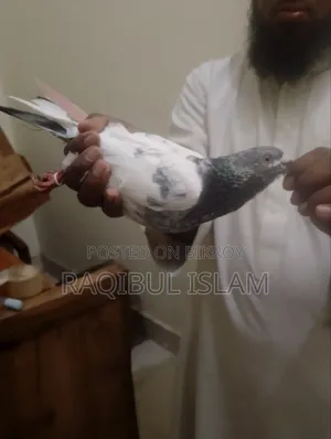 5 birds will be sold.