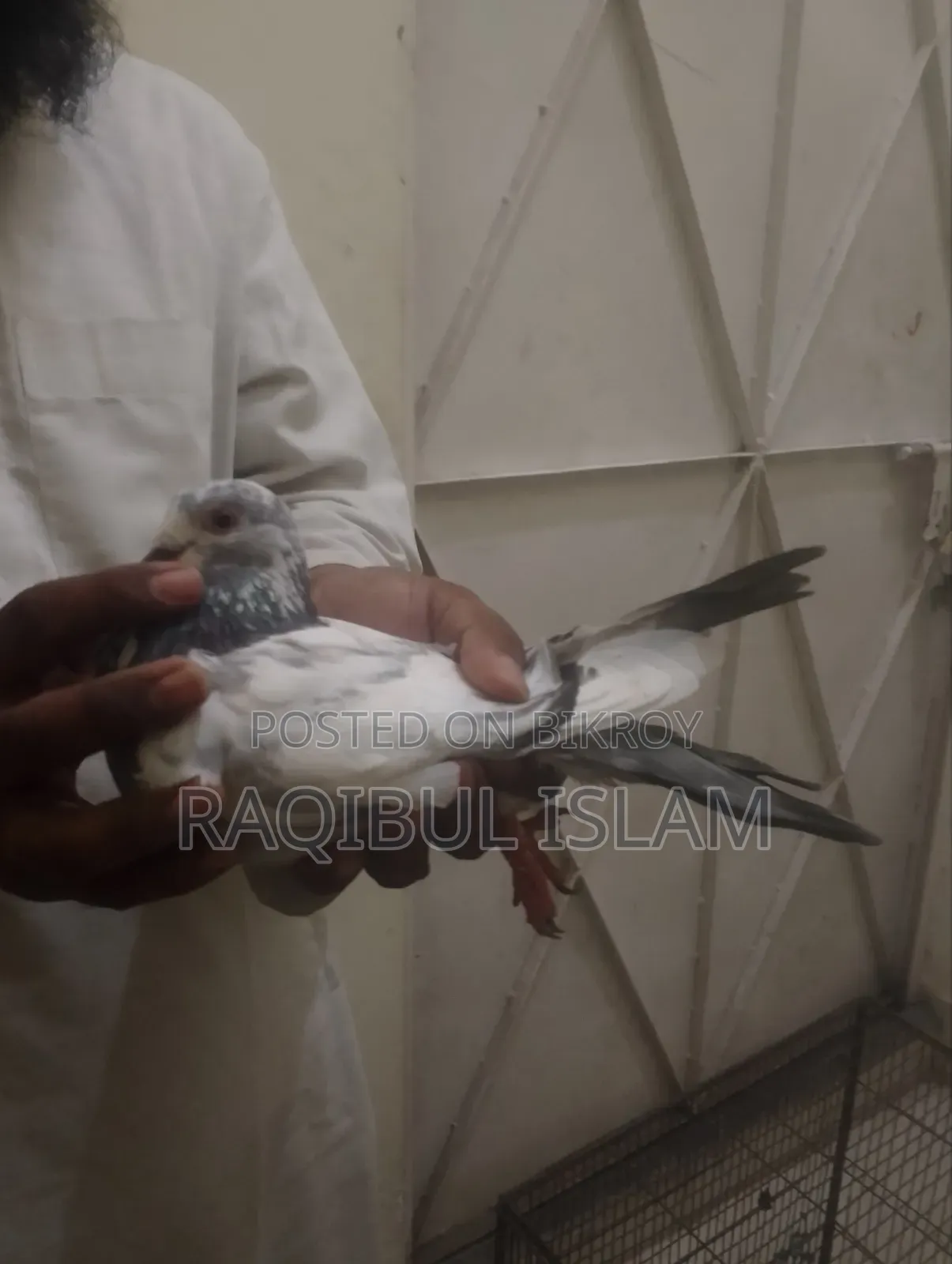 5 birds will be sold.
