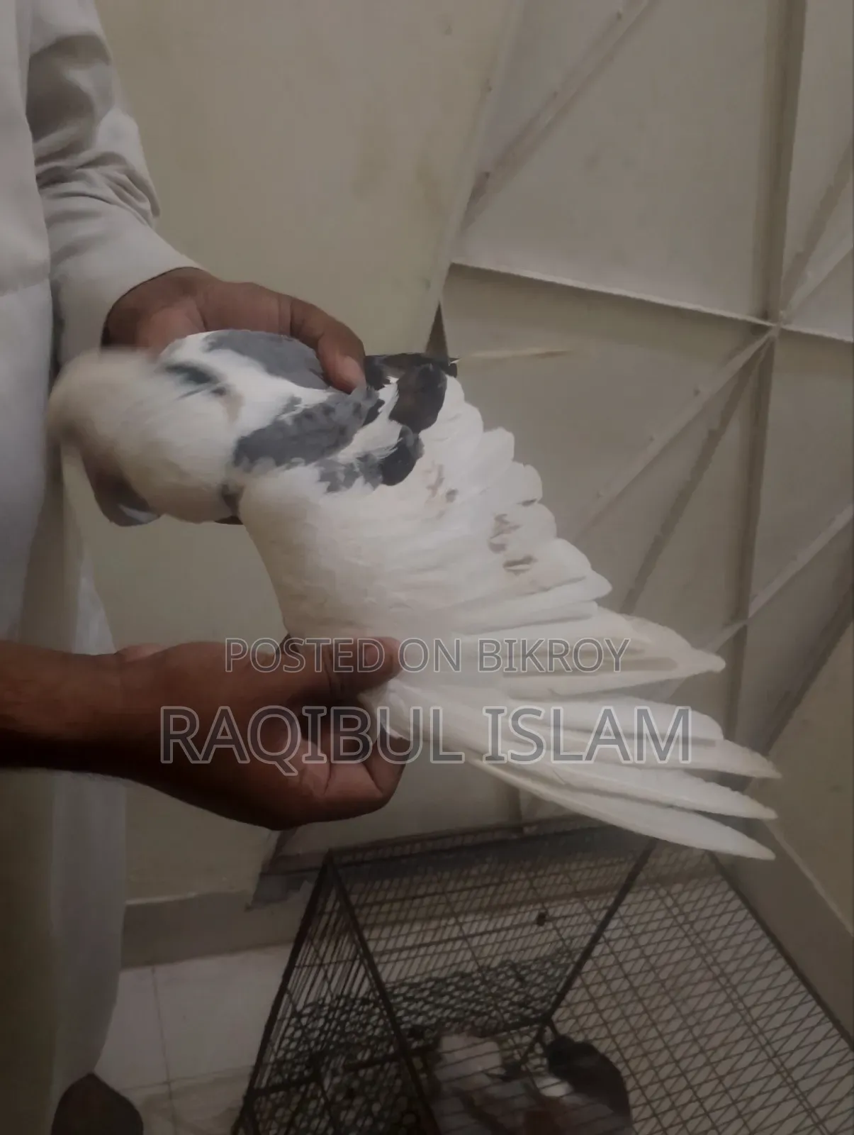 5 birds will be sold.