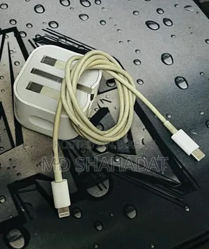 Apple iPhone's Original Adapter