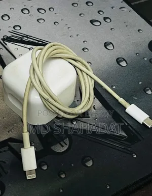 Apple iPhone's Original Adapter