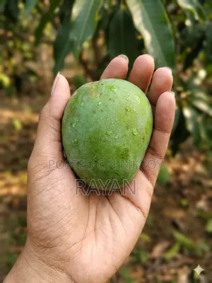 হিমসাগর আম