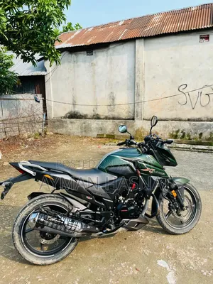 Honda Hornet 2022 Green