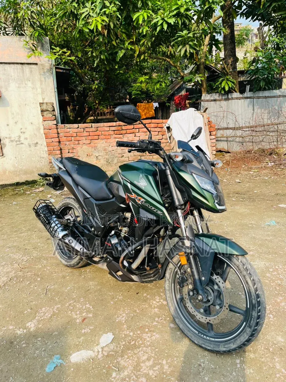 Honda Hornet 2022 Green