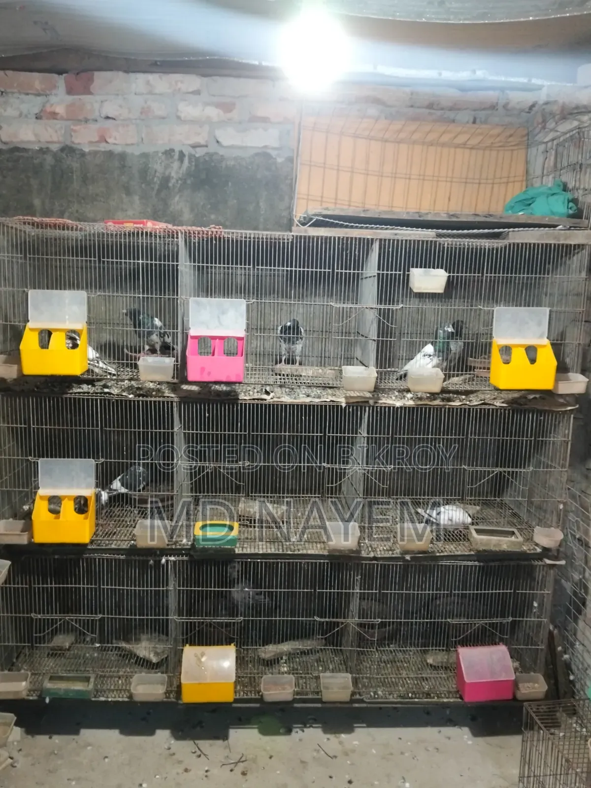 GI Cage, the cages are in very good condition