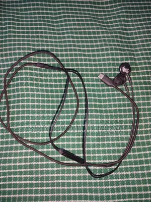 Samsung AKG Original Earphone