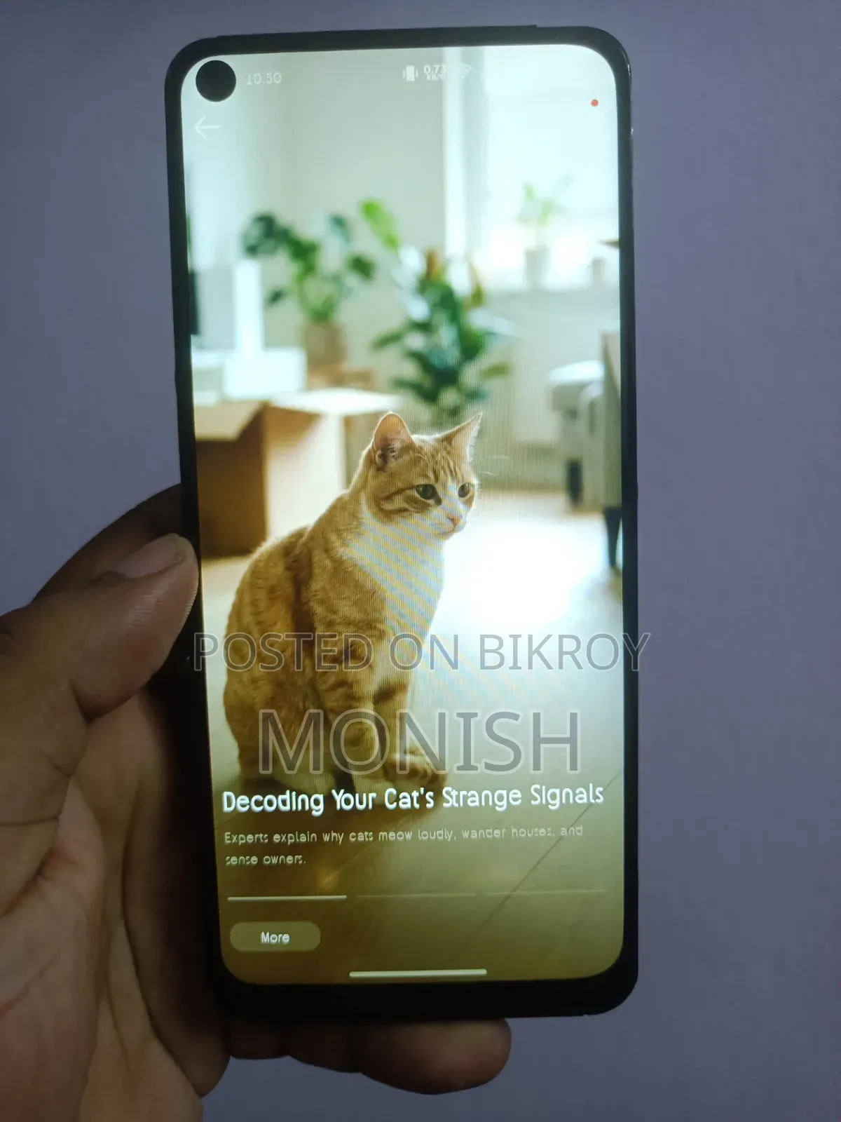 ওয়ানপ্লাস ১০ প্রো ২৫৬ জিবি কালো