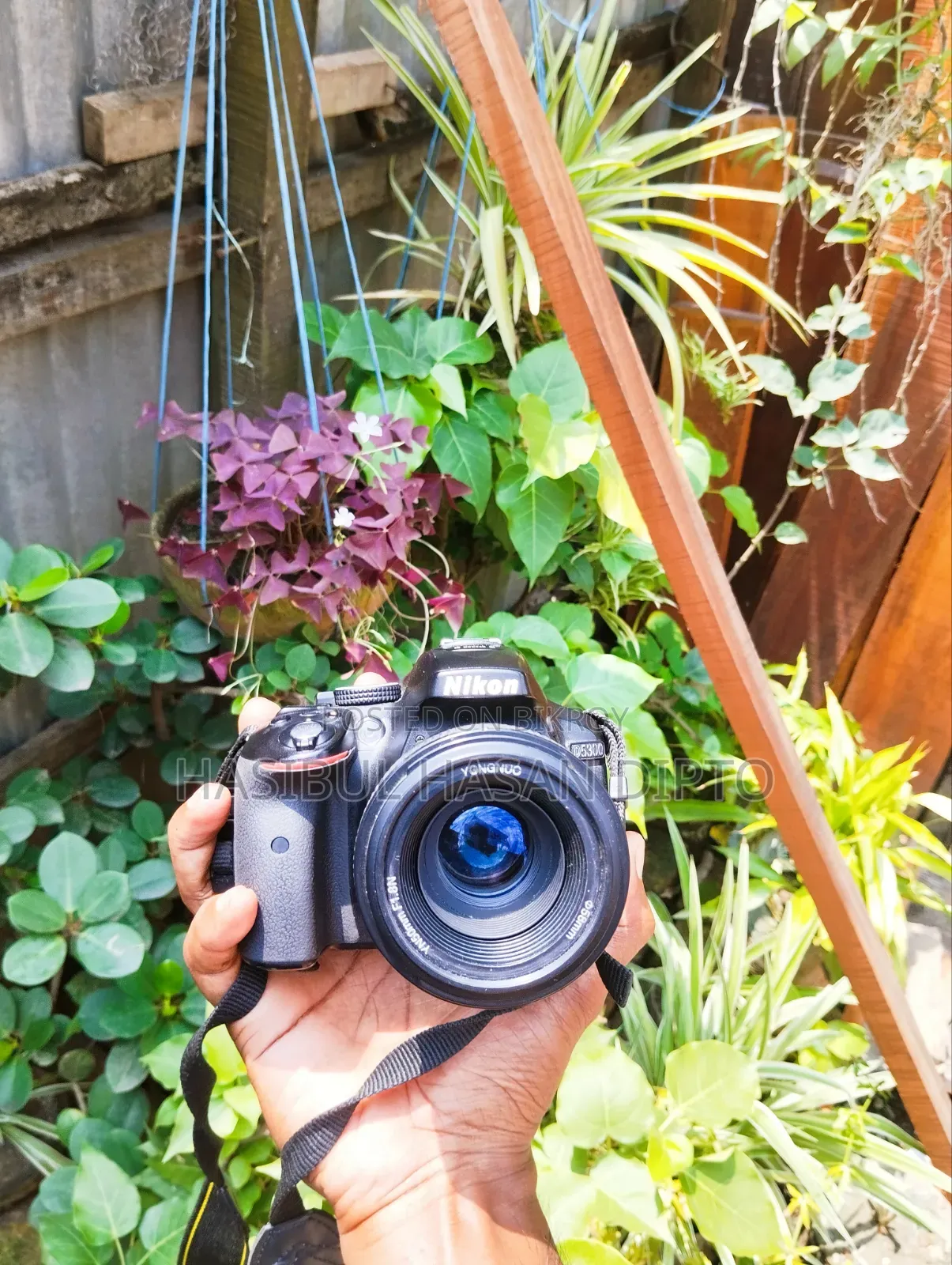 Nikon D5300
