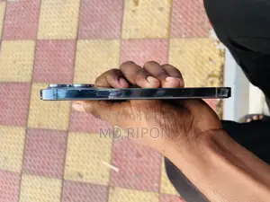 অ্যাপল আইফোন ১৩ প্রো ২৫৬ জিবি