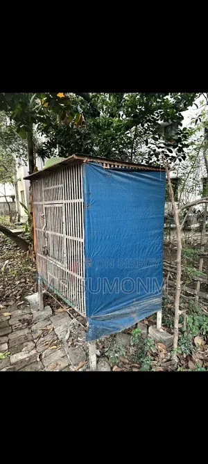 Pigeon Cage