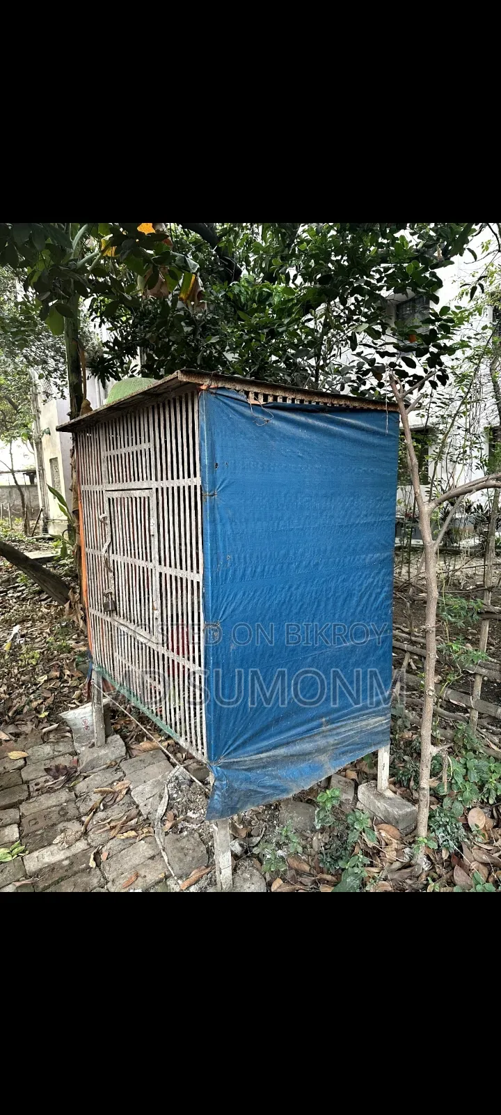 Pigeon Cage