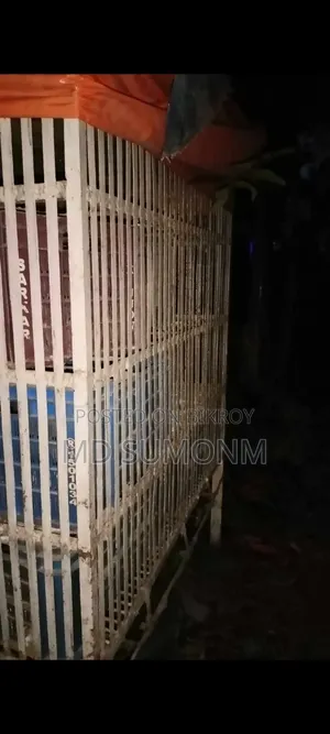 Pigeon Cage